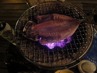 Dsc04377